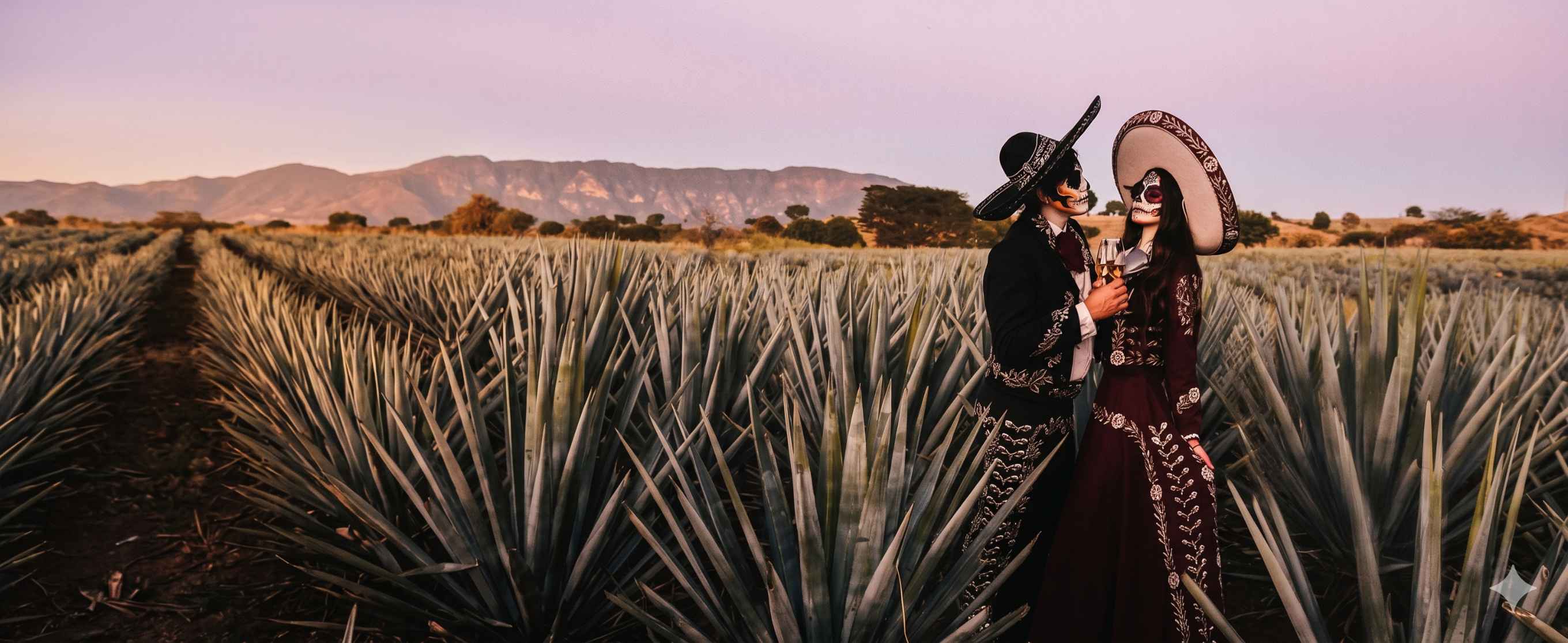 100% Agave Azul
